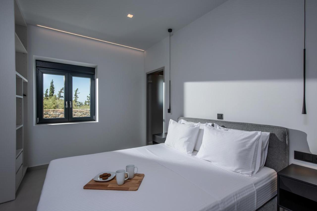 Luxury Villa Alexia 赫索尼索斯 外观 照片
